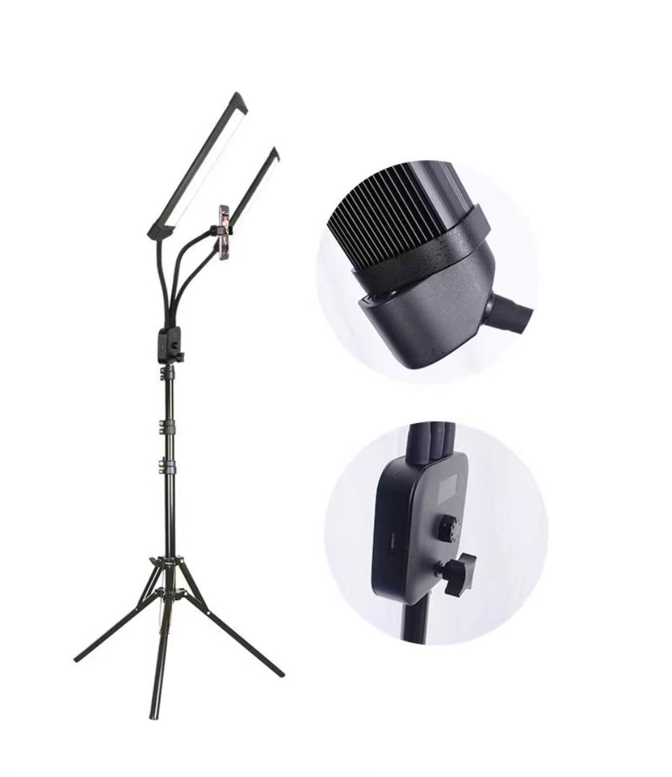 2 Panel Light