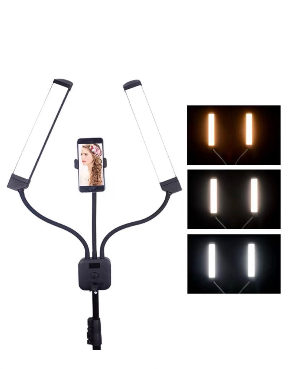 2 Panel Light